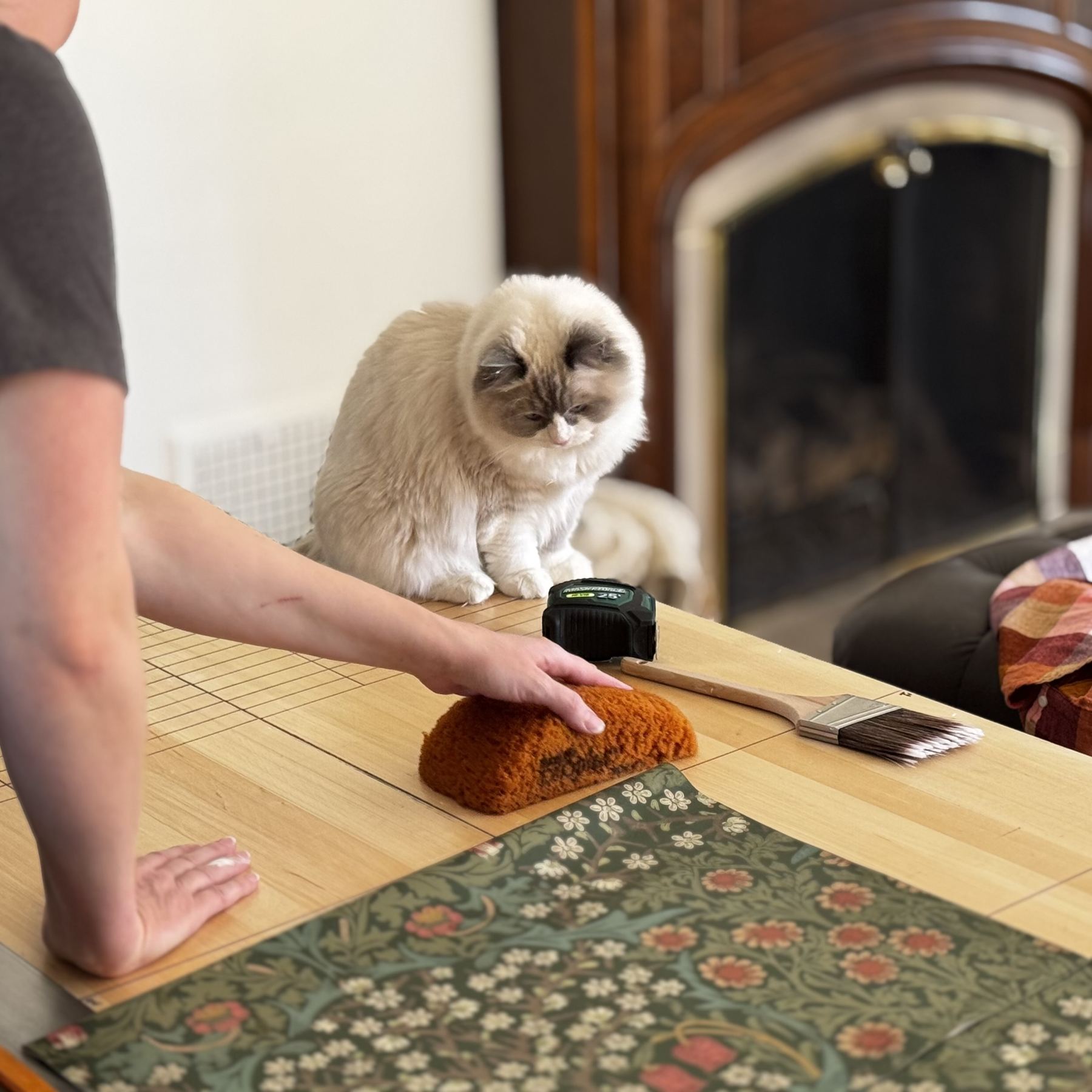 A fluffy cat supervising a wallpaper job on the work table