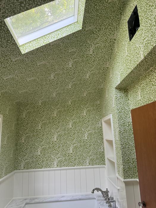 Green leafy print under a skylight